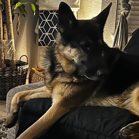 Meet your Posher, Amie - Picture 13 of 16